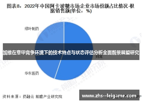 加维在意甲竞争环境下的技术特点与状态评估分析全面前景展望研究