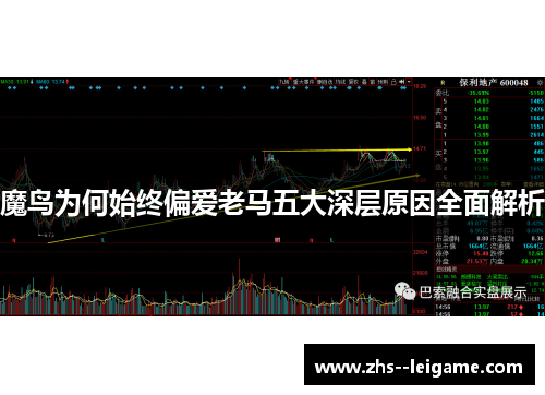 魔鸟为何始终偏爱老马五大深层原因全面解析